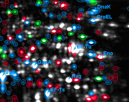 Spot Color Coding Spot Color Coding