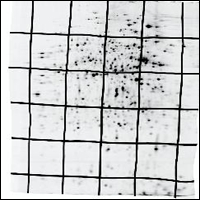 Grid Warped Grid Warped