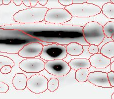 Spot Transfer - Fused Image Spot Transfer - Fused Image