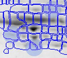 Traditional Spot Matching - Image 2 Traditional Spot Matching - Image 2